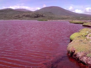 red-lagoon-chile-1